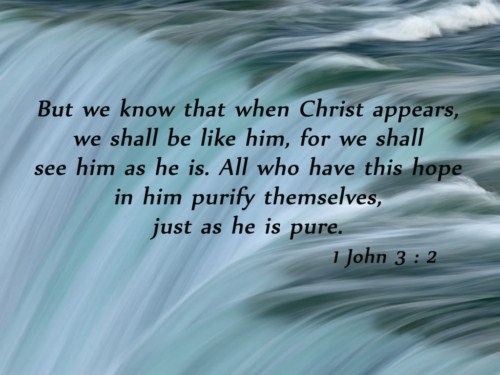 1 John 3:2 Image